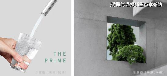 尊国际售楼处发布：品质生活新高度米乐m6登录入口品尊国际网站 品(图21)
